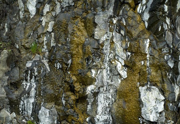 Cliff Seep 608.jpg
